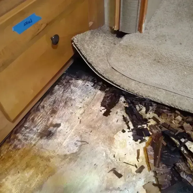 Best Wood Floor Water Damage Service in Rancho Santa Margarita, CA